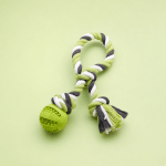 Tough Canvas Squeaky Toy
