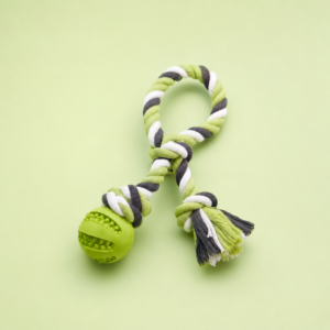 Tough Canvas Squeaky Toy